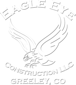 Eagle Eye Logo
